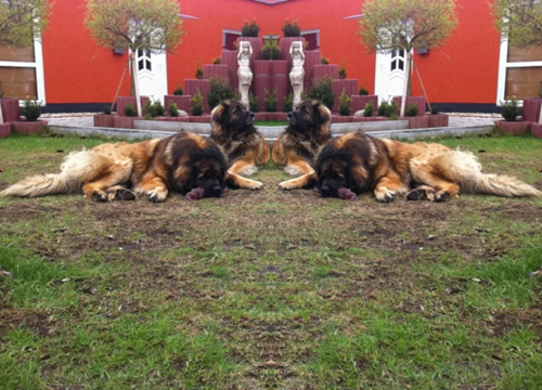 Unsere Jungs